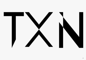 TXN logo black no BG.pdf (3)